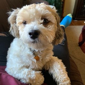 Meet your Posher, Nina